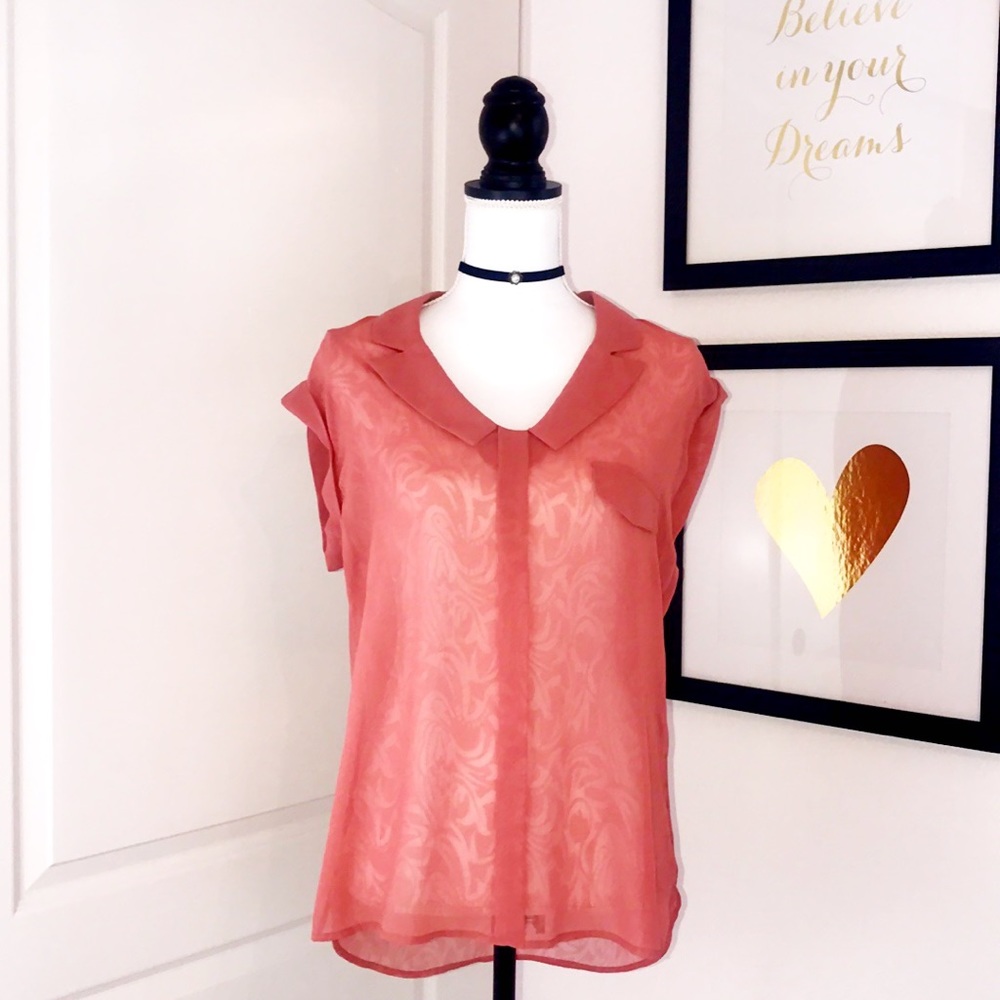Shear Sleeveless Dusty Rose Top Size Small